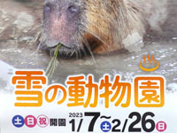【秋田市】大森山動物園で2023年も「雪の動物園」を開催（2023/1/7～2/26の土日祝日）