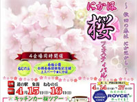 【にかほ市】「にかほ桜フェスティバル」を4会場で同時開催！（2023/4/15～16）