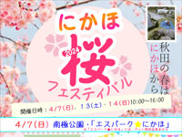 【にかほ市】「にかほ桜フェスティバル」を開催！（4/7、13、14）