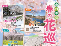 【由利本荘市】「由利本荘 春の花巡り」を開催！市内各地で桜を楽しめます（4/5～5/12）