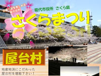 【能代市】「能代市役所さくら庭 さくらまつり」を開催！目線の高さで桜を楽しめる名所（4/12～14）