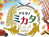 【秋田市】エリアなかいちで「アキタノミカタ」が開催されます（2020/10/10～11）