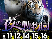 【秋田市】大森山動物園で今年も「夜の動物園」と「ナイトアニパ」が同時開催!
