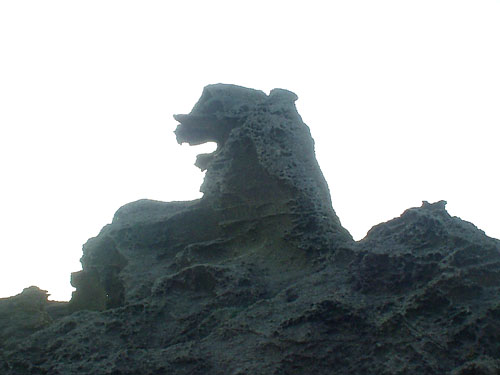 近くで見たゴジラ岩