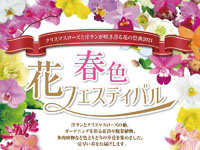 【横手市】春色花フェスティバルが秋田ふるさと村で開催（3/4～3/8）