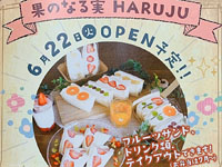 【能代市】カフェ「果のなる実 HARUJU」が6月22日オープン！