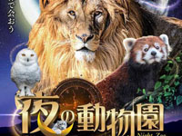 【秋田市】大森山動物園で2021年も「夜の動物園」が開催！