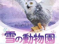 【秋田市】大森山動物園で2021年も「雪の動物園」開催(1/9~2/28の土日祝日)