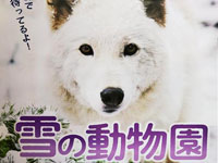 【秋田市】大森山動物園で2022年も「雪の動物園」を開催（1/8～2/27の土日祝日）