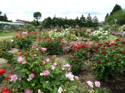 日本国花苑1