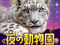 【秋田市】大森山動物園で2022年も「夜の動物園」を開催！