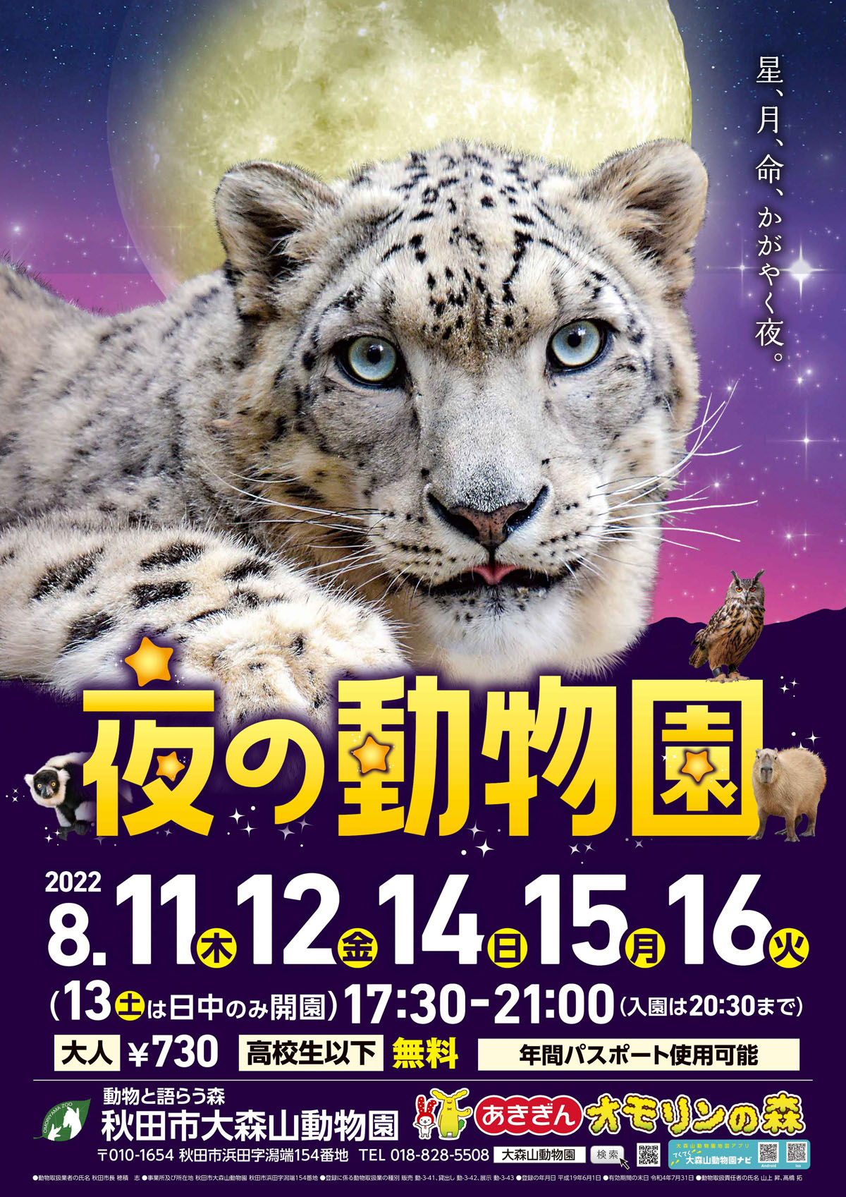 秋田市 大森山動物園で22年も 夜の動物園 を開催