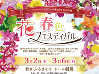【横手市】秋田ふるさと村で「春色花フェスティバル」を開催します（3/2～6）