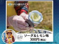 【秋田市】児玉冷菓の「青いババヘラアイス」をトピコで2日間限定販売！（9/16～17）