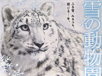 【秋田市】大森山動物園で2024年も「雪の動物園」を開催します（1/6～2/25の土日祝日）