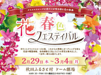 【横手市】「春色花フェスティバル」を秋田ふるさと村で開催します（2/29～3/4）