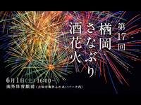 【大仙市】「楢岡さなぶり酒花火」が6月1日に開催されます