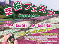 【横手市】大森リゾート村で「芝桜フェスタ」を開催！プチ花火ショーやイベントも（5/9～15）
