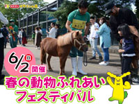 【秋田市】大森山動物園で「春の動物ふれあいフェスティバル」を開催！（6/2）