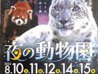 【秋田市】大森山動物園で2024年も「夜の動物園」を開催します！