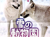 【秋田市】大森山動物園で2025年も「雪の動物園」を開催します（1/4～2/24の土日祝日）