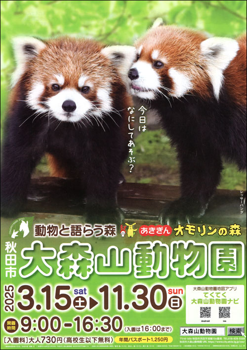 大森山動物園チラシ表