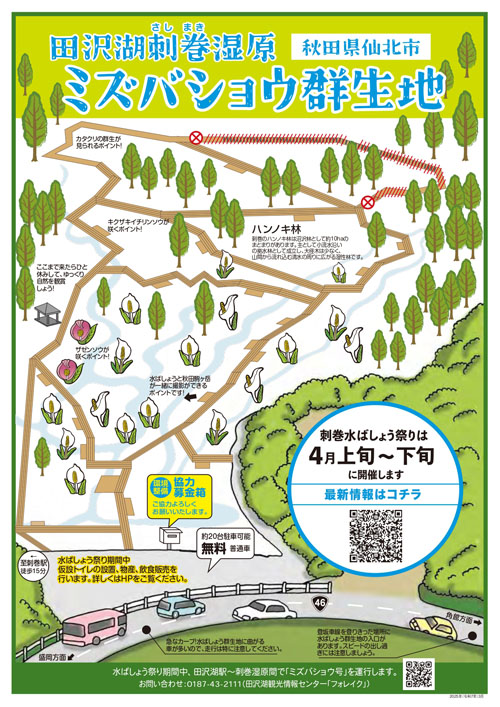 刺巻湿原水ばしょう群生地マップ