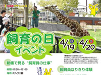 【秋田市】大森山動物園で「飼育の日イベント」を開催します（4/19～20）