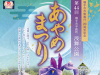 【横手市】「浅舞公園あやめまつり」が開催されます（6/21～29）