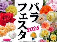 【大仙市】「バラフェスタ」＆「グリクラパーク」を秋田県立農業科学館で開催！（6/7～22）