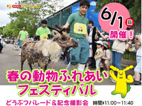 【秋田市】大森山動物園で「春の動物ふれあいフェスティバル」を6月1日開催！