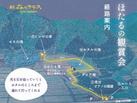 【北秋田市】森のテラスで「ほたるの観賞会」を開催します（6/21～7/27）