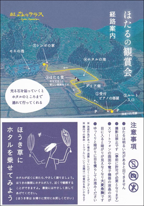 ほたるの観賞会