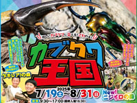 【横手市】「カブクワ王国」を秋田ふるさと村で開催！たくさんのカブトやクワガタとふれあえる（7/19～8/31）