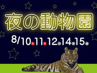 【秋田市】大森山動物園で2025年も「夜の動物園」を開催します！