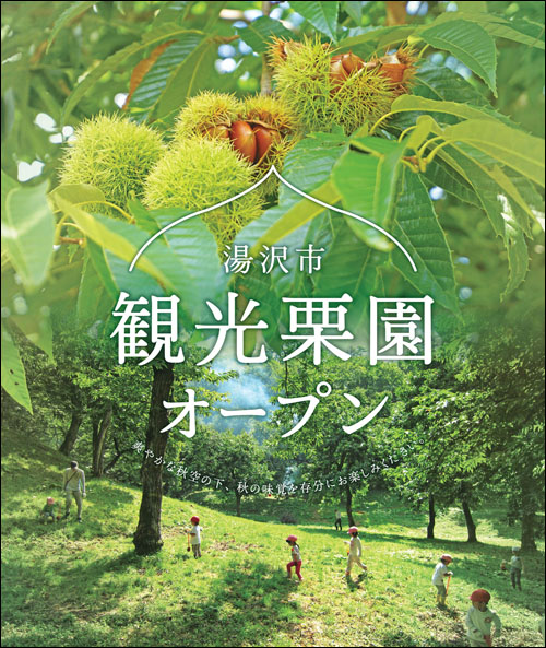湯沢市観光栗園ポスター