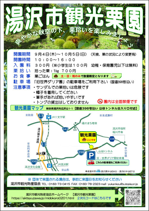 観光栗園令和6年チラシ