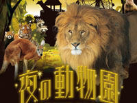 【秋田市】大森山動物園で2025年も「夜の動物園」を開催します！