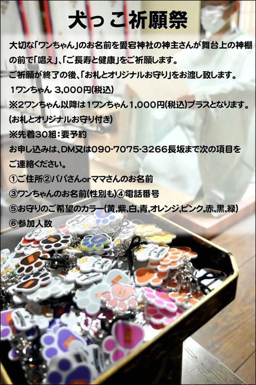 犬っこ祈願祭