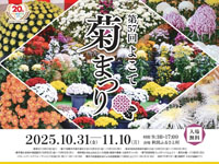 【横手市】「よこて菊まつり」を秋田ふるさと村で開催します（10/31～11/10）