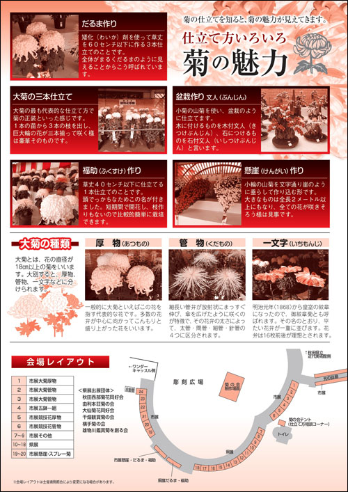 よこて菊まつりチラシ裏2