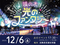 【横手市】「槻の木光のファンタジー」が開催されます（12/6～1/12）