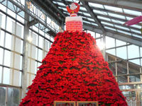 【潟上市】高さ4mの「ポインセチアタワー」をブルーメッセあきたで公開します(12/6~)