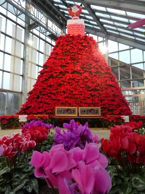 ポインセチアタワー