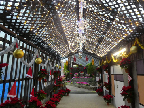 イルミネーション