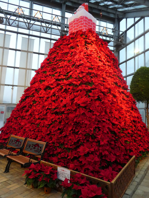 ポインセチアタワー2