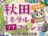 【秋田市】「秋田ミネラルプチマルシェ」を秋田まるごと市場で開催！（1/23～25）