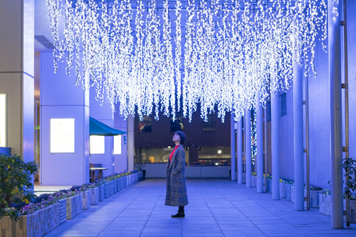 イルミネーション1