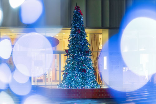 イルミネーション2