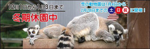 雪の動物園日程